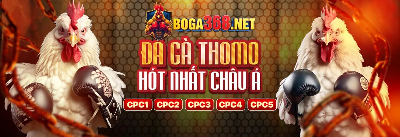 Đội ngũ vb9 đăng nhập đang làm việc chuyên nghiệp