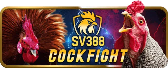 Chương Trình Giới Thiệu vb9